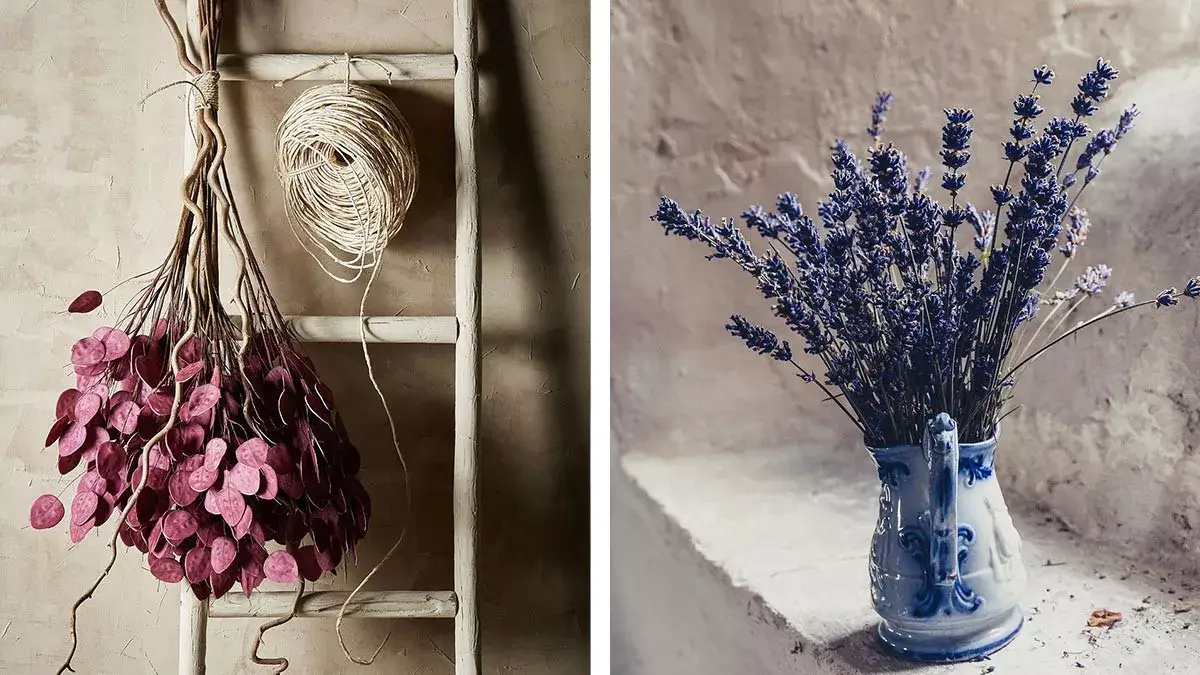 Trockenblumen in Violett und Rosa