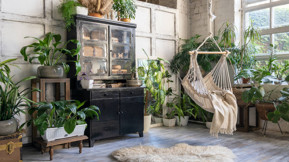 Urban Jungle wohnen