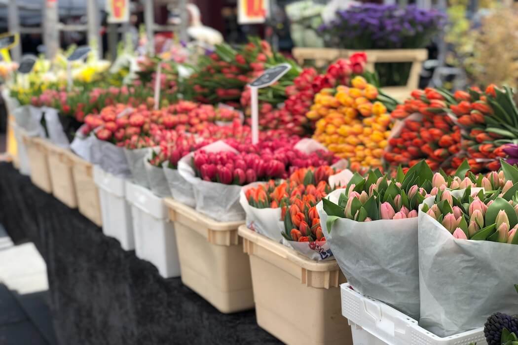 Bunte Tulpen auf dem Bloemenmarkt Amsterdam
