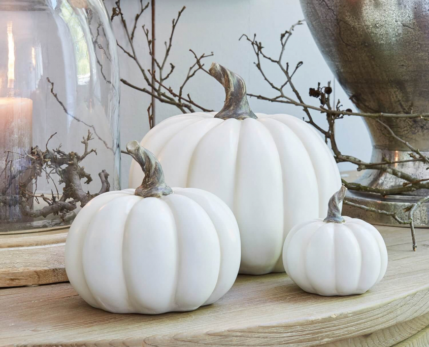 Weisse Kürbisse als Herbst Deko