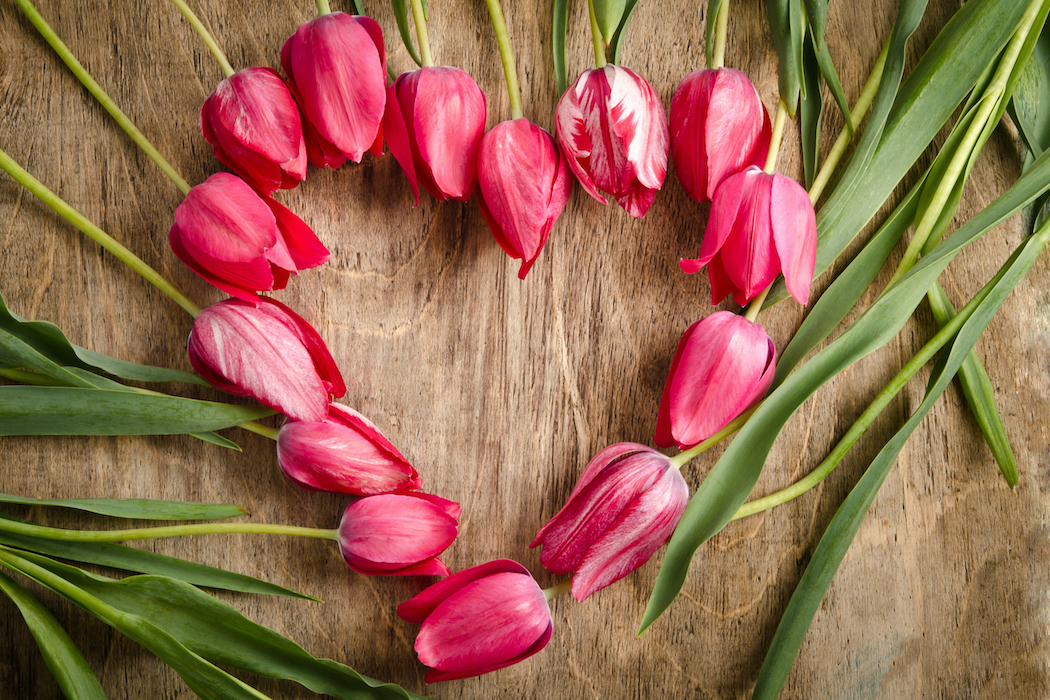 Valentinstag Sprüche lustig